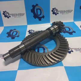 Imagem do produto COROA E PINHAO | RE73620