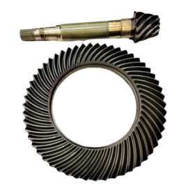 Imagem do produto COROA E PINHAO | RE254023