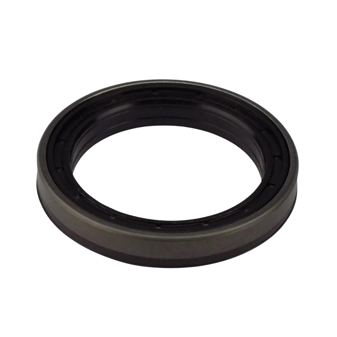 Fotos Site - 2025-09-19T165759.478