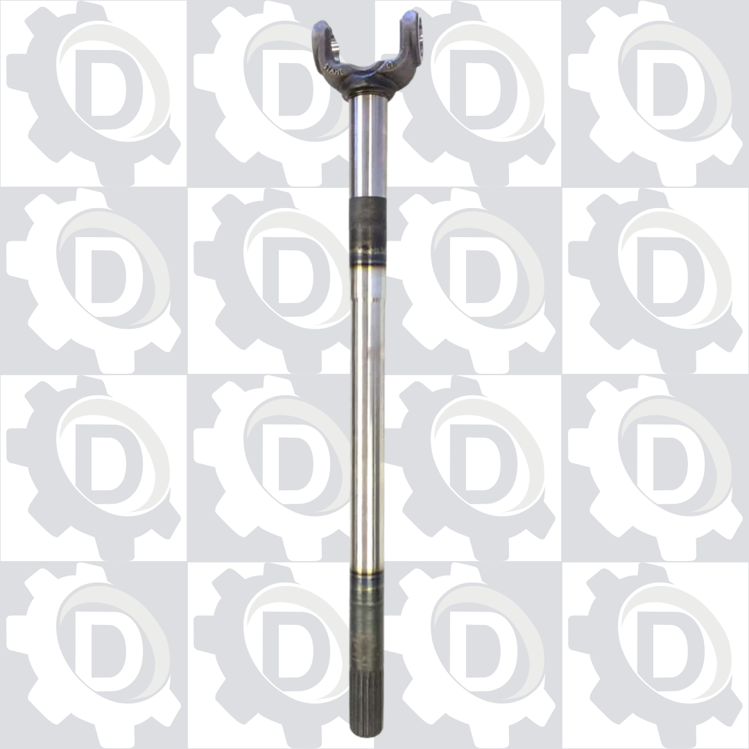 Fotos Site - 2025-09-24T135453.467