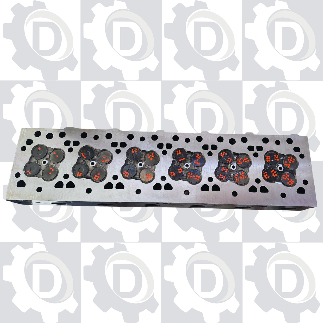 Fotos Site - 2025-09-24T171308.357