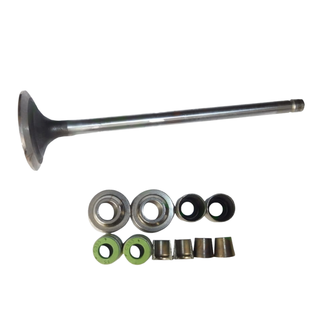 Fotos Site - 2025-10-01T221642.584