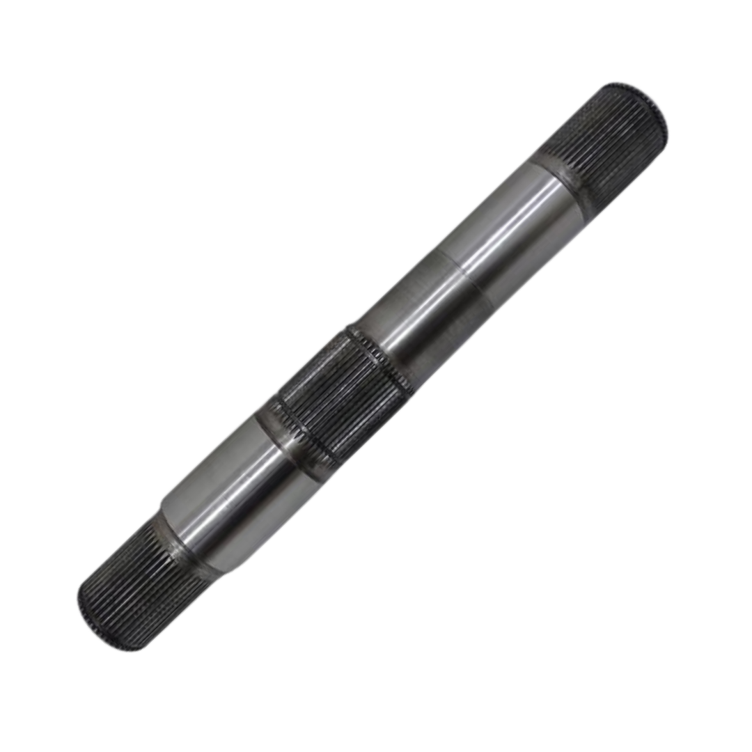 Fotos Site - 2025-10-01T235625.719