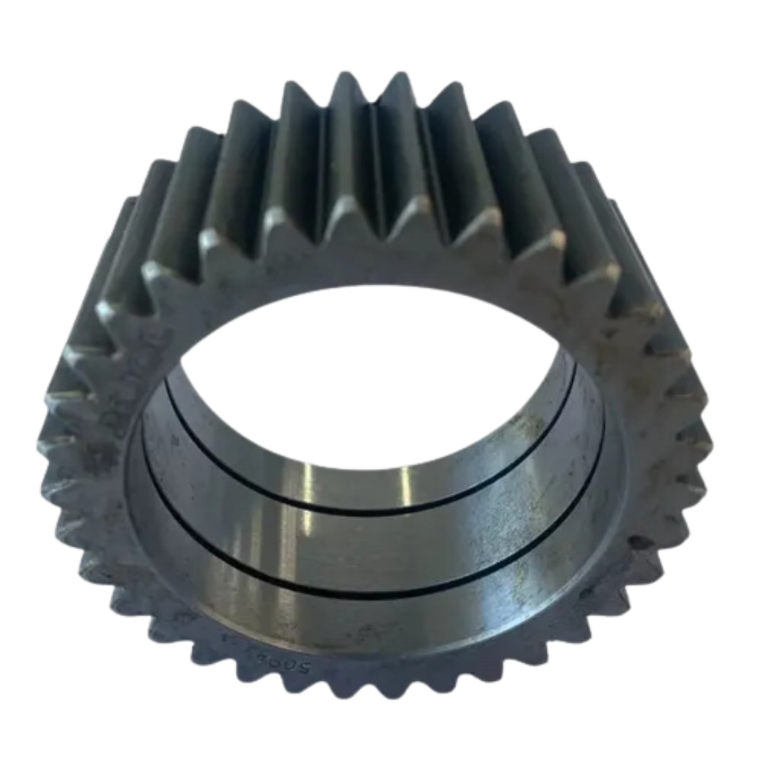 Fotos Site - 2025-11-06T162955.225