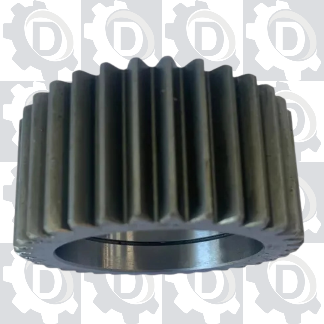 Fotos Site - 2025-11-06T163010.958