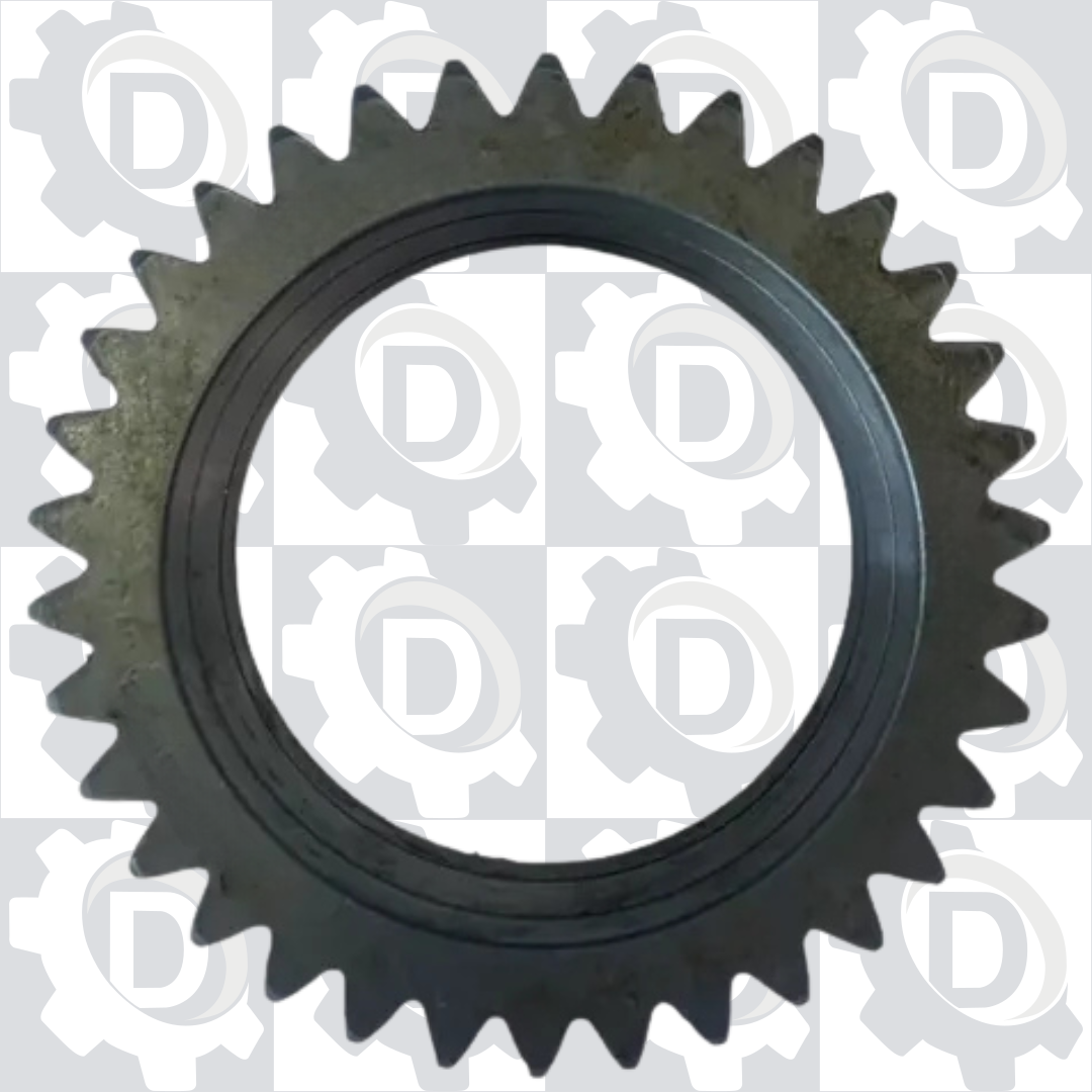 Fotos Site - 2025-11-06T163019.960