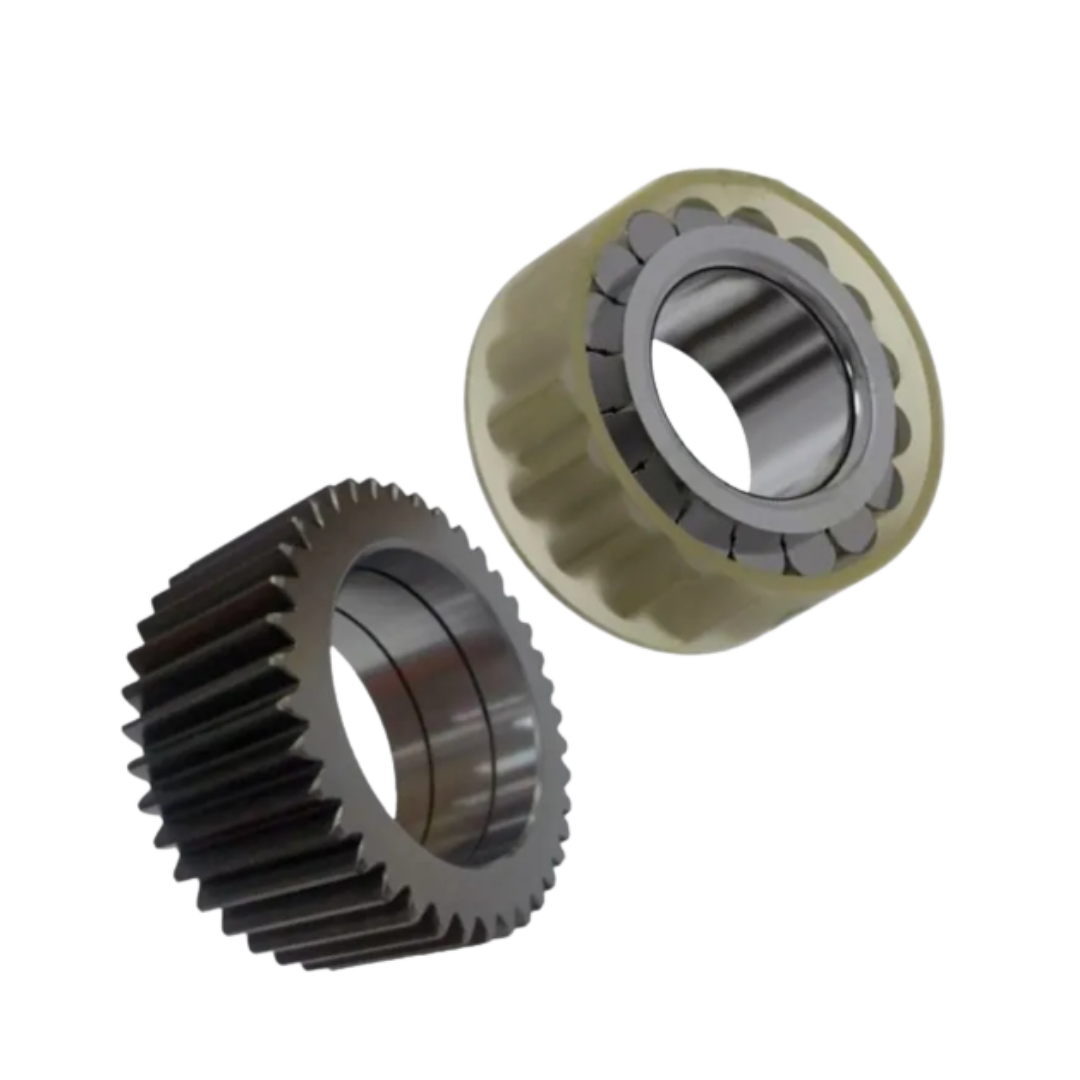 Fotos Site - 2025-11-10T100046.198