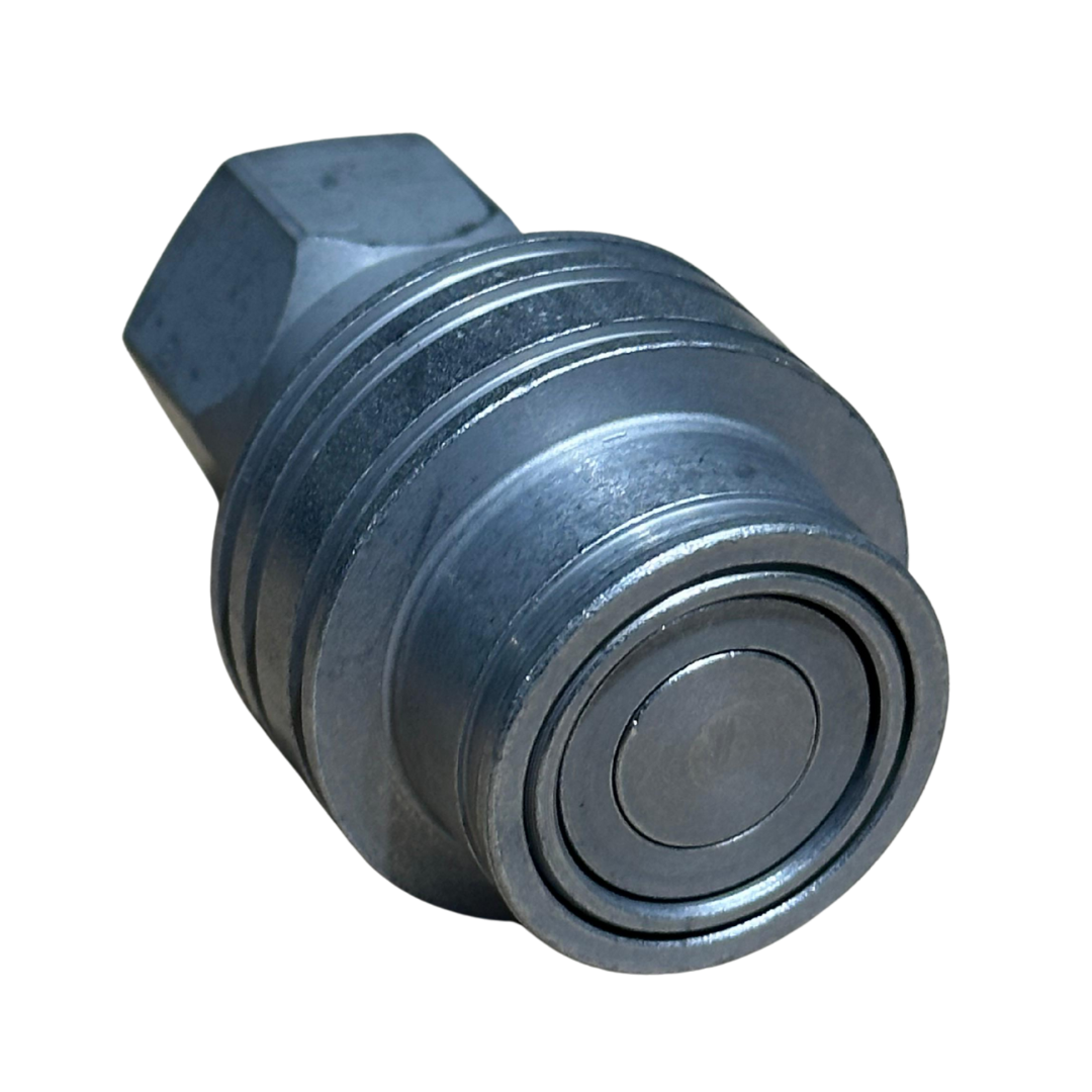 Fotos Site - 2025-11-13T175948.666