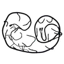 Imagem do produto CHICOTE | JOHN DEERE | AKK38355